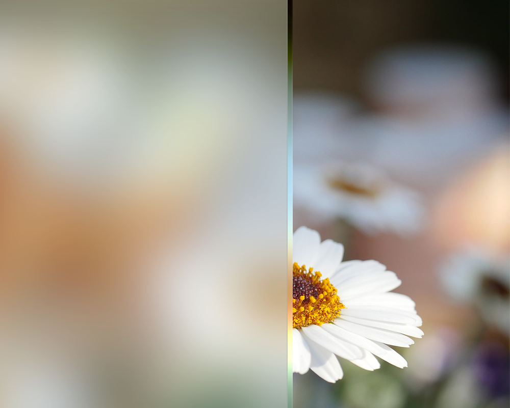 ESG Einscheibensicherheitsglas satiniert